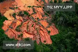 gate.io官网入口——安心无忧，您的财富安全由我们守护！